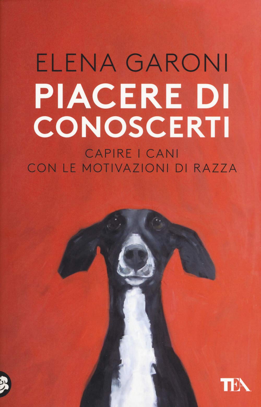 piacere-di-conoscerti